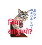 猫とネパール語4（個別スタンプ：34）