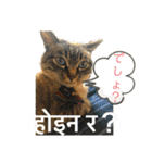 猫とネパール語4（個別スタンプ：39）
