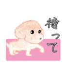 令犬ハル（個別スタンプ：18）