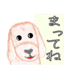 令犬ハル（個別スタンプ：19）