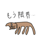 中年犬その5(カラフル)（個別スタンプ：19）