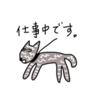 中年犬その5(カラフル)（個別スタンプ：25）