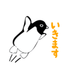 目つきの悪いアデリーペンギン（個別スタンプ：13）