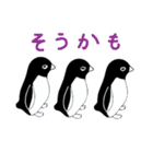 目つきの悪いアデリーペンギン（個別スタンプ：25）