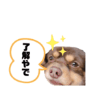 私の大切な子供たち2（個別スタンプ：2）