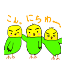 キリッとインコちゃん（個別スタンプ：2）