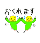キリッとインコちゃん（個別スタンプ：17）