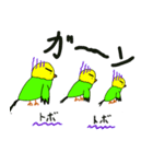 キリッとインコちゃん（個別スタンプ：18）