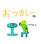 キリッとインコちゃん（個別スタンプ：21）