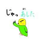キリッとインコちゃん（個別スタンプ：23）