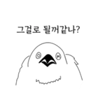 こんにちは！私はいたずらな鳥です。（個別スタンプ：11）
