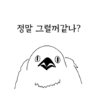 こんにちは！私はいたずらな鳥です。（個別スタンプ：13）