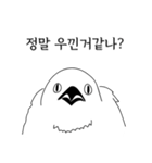 こんにちは！私はいたずらな鳥です。（個別スタンプ：16）