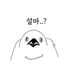 こんにちは！私はいたずらな鳥です。（個別スタンプ：23）