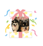 猫と犬CAT＆DOG（個別スタンプ：5）