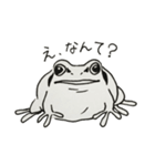 カエル好きの普段使いアマガエルスタンプ（個別スタンプ：13）