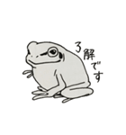 カエル好きの普段使いアマガエルスタンプ（個別スタンプ：16）