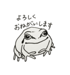 カエル好きの普段使いアマガエルスタンプ（個別スタンプ：24）