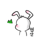 耳をピンと張る★ウサリコ (韓国語ver.)（個別スタンプ：16）