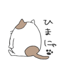 まる～い猫のスタンプ（個別スタンプ：7）