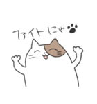 まる～い猫のスタンプ（個別スタンプ：8）