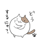 まる～い猫のスタンプ（個別スタンプ：9）