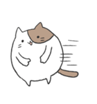 まる～い猫のスタンプ（個別スタンプ：19）