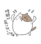 まる～い猫のスタンプ（個別スタンプ：31）