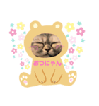 みーこのスタンプその1+（個別スタンプ：1）