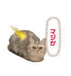 みーこのスタンプその1+（個別スタンプ：4）