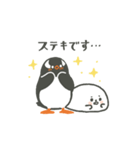 ペンギンとあざらしの敬語スタンプ（個別スタンプ：19）