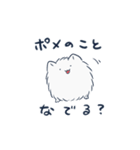 ちょろ丸スタンプ（個別スタンプ：24）