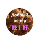 ロシアと中国語（個別スタンプ：3）