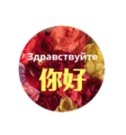 ロシアと中国語（個別スタンプ：4）