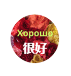 ロシアと中国語（個別スタンプ：7）
