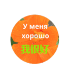 ロシアと中国語（個別スタンプ：8）