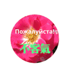 ロシアと中国語（個別スタンプ：13）