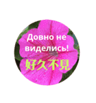 ロシアと中国語（個別スタンプ：15）