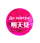 ロシアと中国語（個別スタンプ：16）