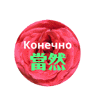 ロシアと中国語（個別スタンプ：19）