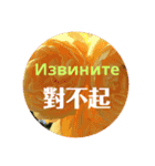 ロシアと中国語（個別スタンプ：20）