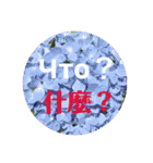 ロシアと中国語（個別スタンプ：23）
