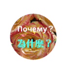 ロシアと中国語（個別スタンプ：27）