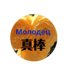 ロシアと中国語（個別スタンプ：28）