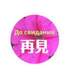ロシアと中国語（個別スタンプ：30）