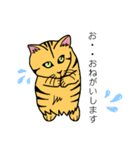家の猫さん（個別スタンプ：1）