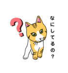 家の猫さん（個別スタンプ：2）
