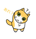 家の猫さん（個別スタンプ：3）