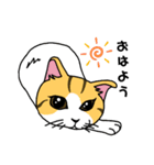 家の猫さん（個別スタンプ：4）
