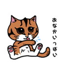 家の猫さん（個別スタンプ：6）